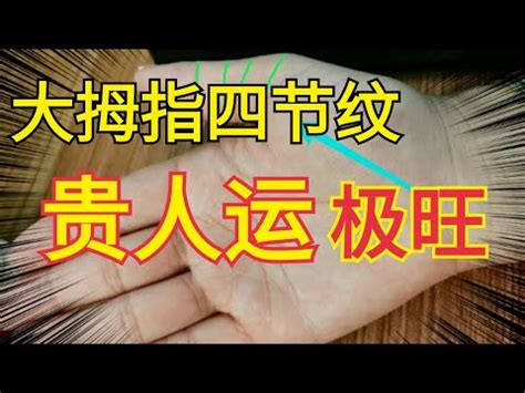 大拇指有幾條節紋|神准：大拇指第一節紋有一條，兩條，三條，各自有怎。